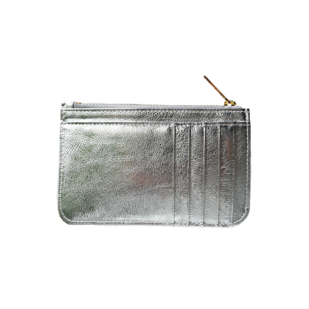 Flap Coin Card Case