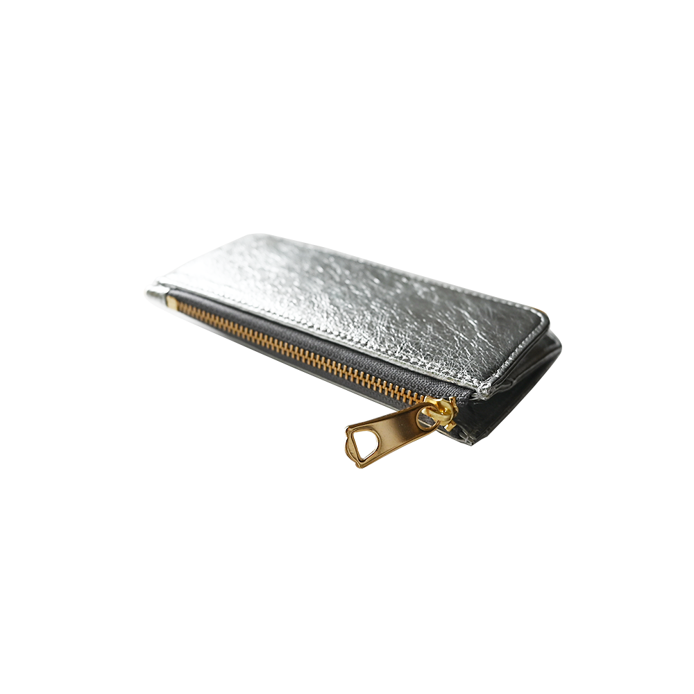 Flap Coin Card Case