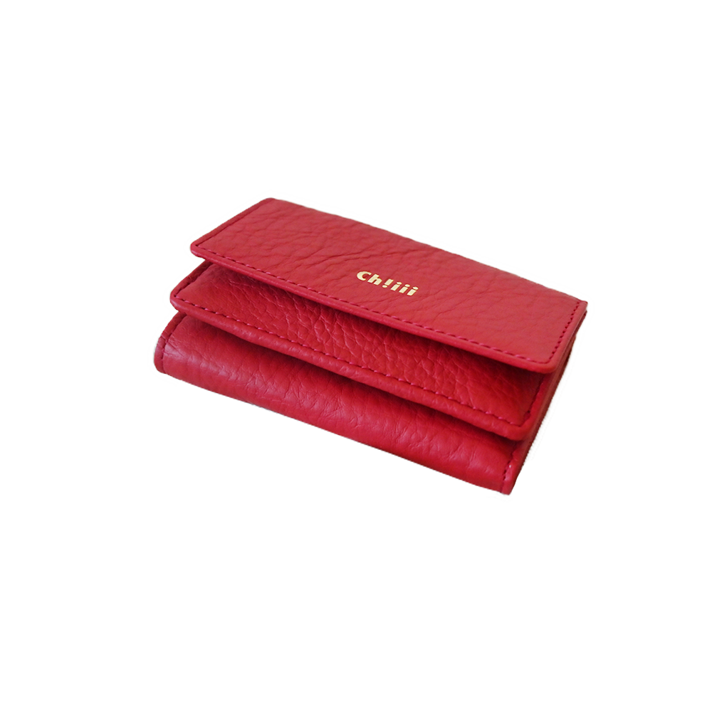 Micro Wallet