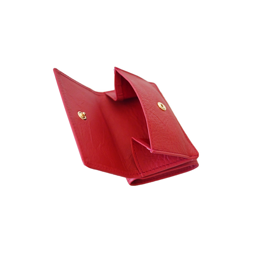 Micro Wallet