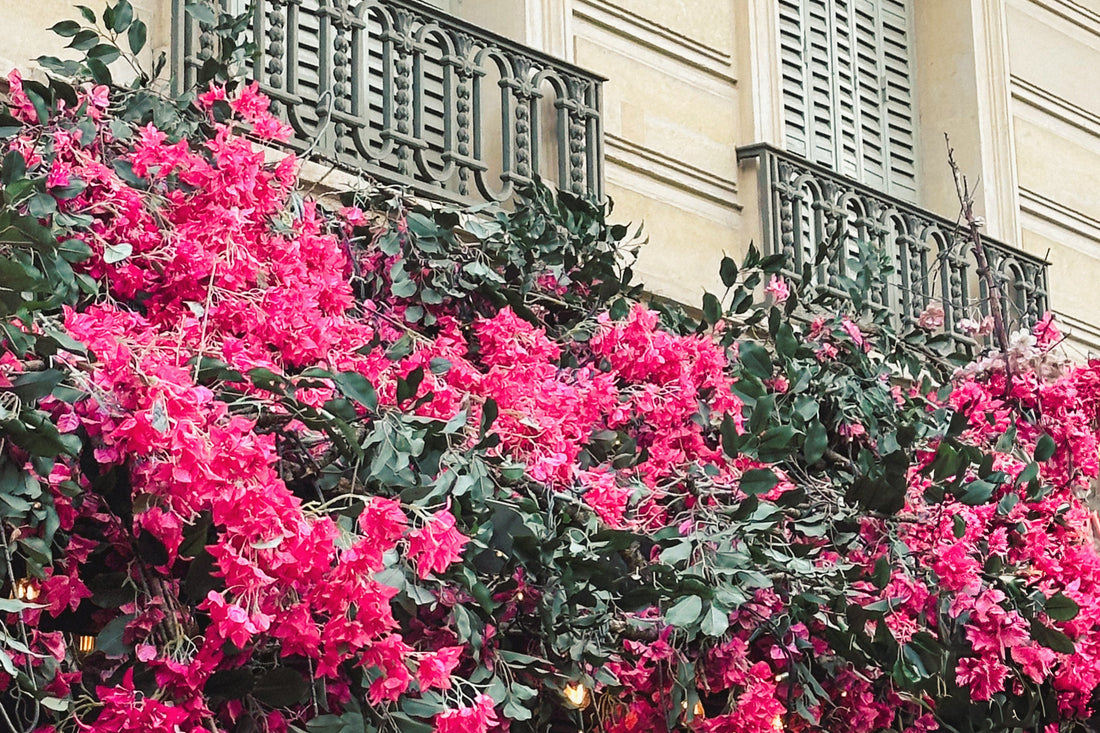 ch!iii ONLINE SHOP OPEN